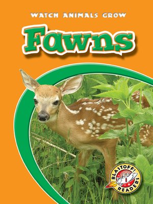cover image of Fawns